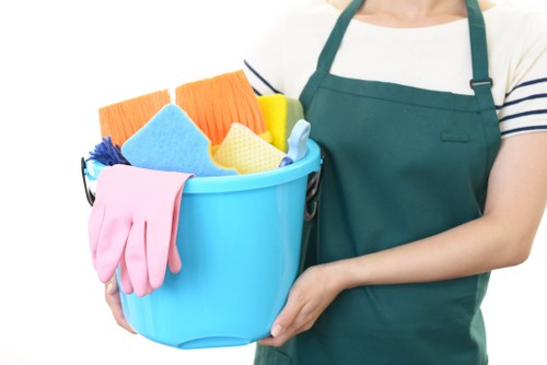 Professional home cleaners in N5 working in a tidy living room