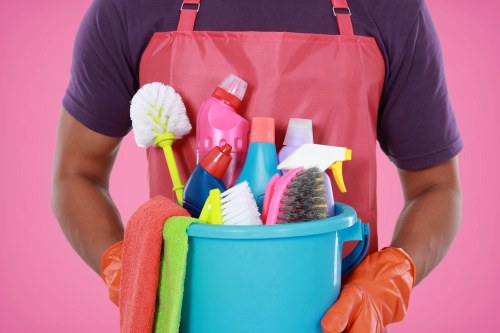 Carpet cleaning team using sustainable practices in N5