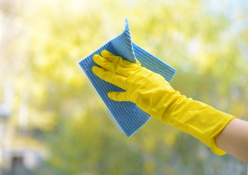 Carpet cleaning service in N5 for fitted carpets