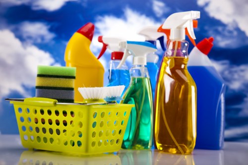 Trusted cleaners in N5 for flexible cleaning solutions