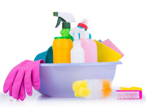 Professional carpet cleaner in N5 deep cleaning a living room carpet