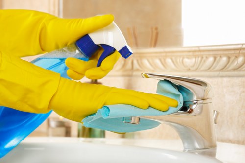 Professional window cleaning in N5 for a bright home exterior