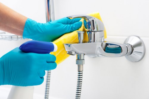 Eco-friendly home cleaning tools used in a N5 property