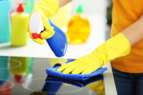 Step-by-step upholstery cleaning process for sofas in N5