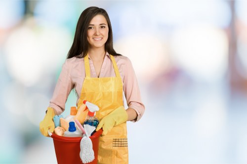 Professional cleaner in N5 helping a home space