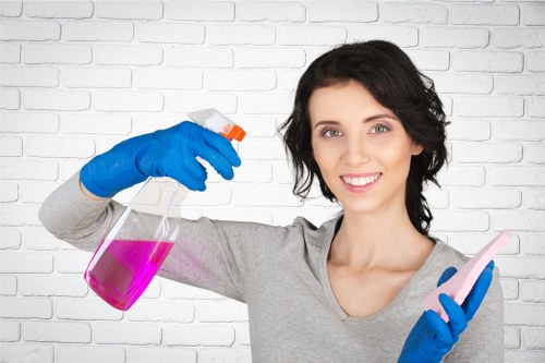 Domestic cleaning services for homes in N5