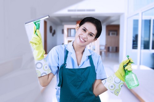 Professional carpet cleaners N5 restoring a carpet’s freshness in a residential room