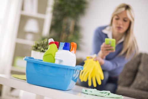 Professional carpet cleaner treatment in a N5 property