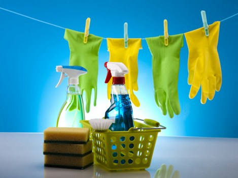 Professional carpet cleaning team following safe work practices