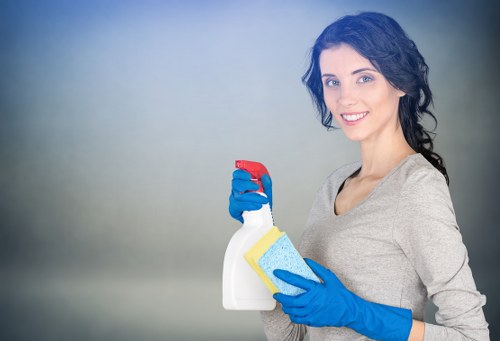 Domestic cleaning supplies and organised home cleaning service in N5